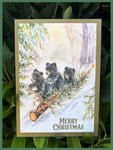 Cubby Christmas Cards by Jillie Eves