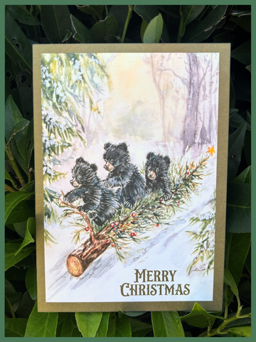 Cubby Christmas Cards by Jillie Eves