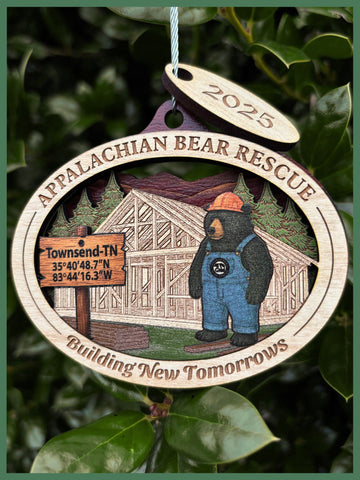 2025 Building New Tomorrows Wooden Ornament