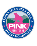 Pink Jeep x ABR PanoramaVan Tour